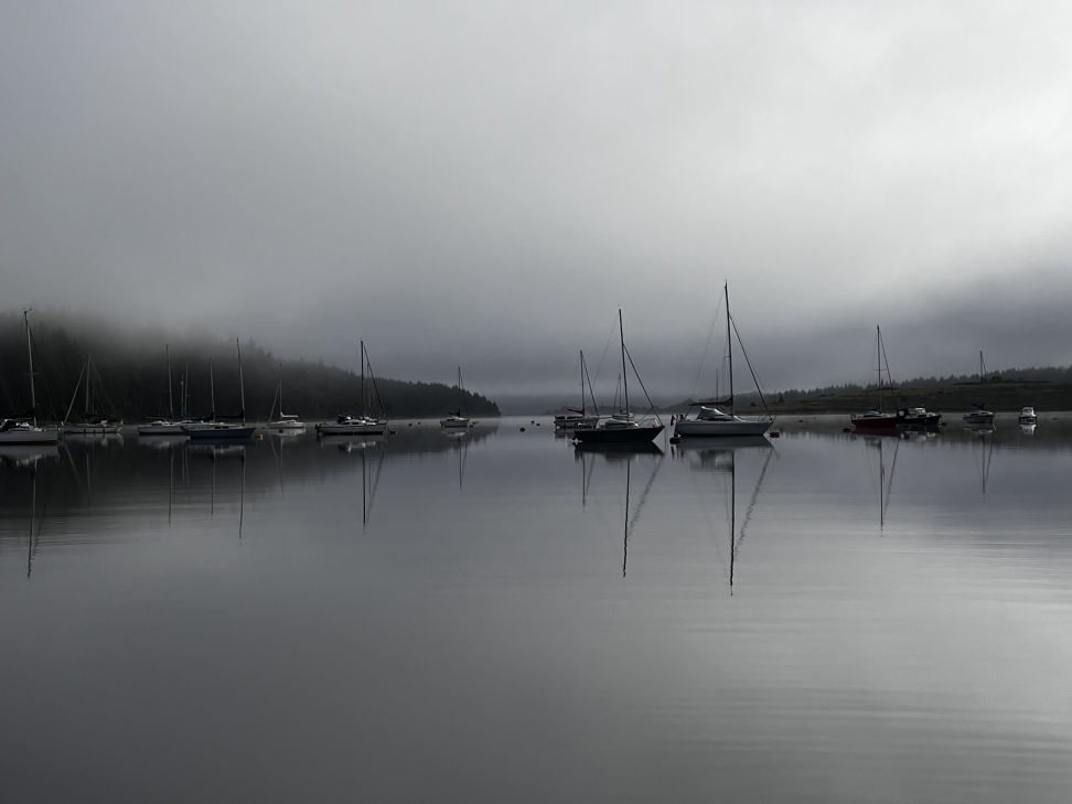 Kielder Water Foggy